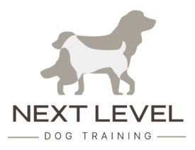 Next Level Online Dog Training School